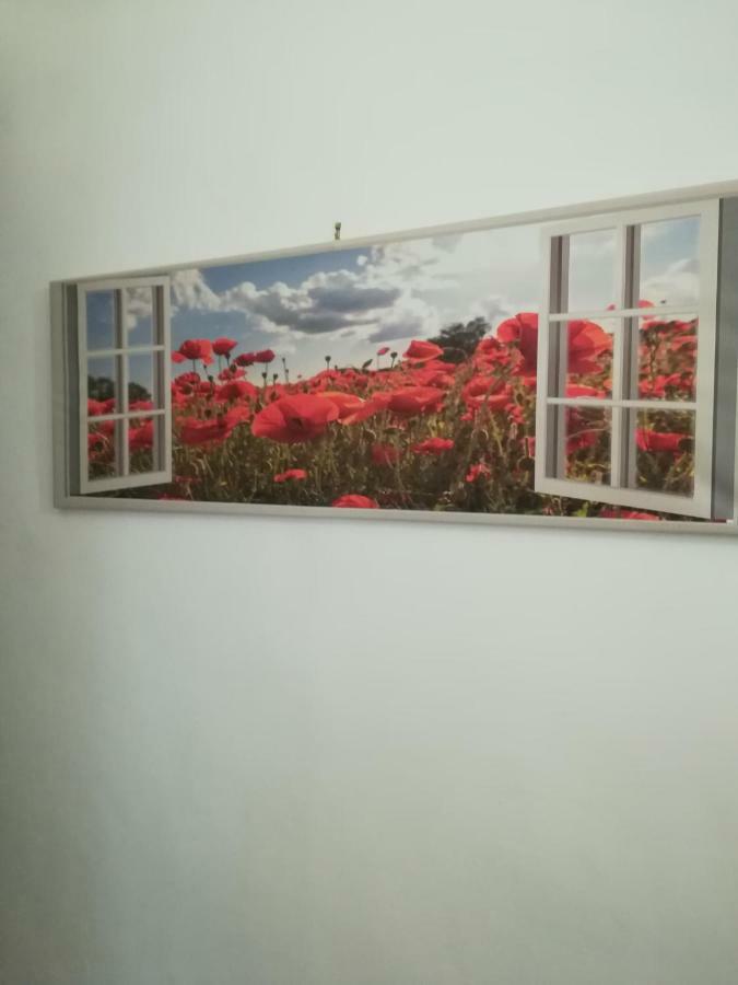 La Terrazza Lägenhet Trapani Exteriör bild